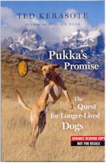 Pukka's Promise